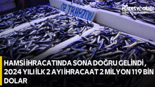 Hamsi İhracatında Sona Doğru gelindi , 2024 yılı ilk 2 ayı ihracaat 2 milyon 119 bin dolar