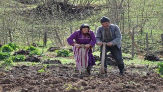 TZOB Başkanı Şemsi Bayraktar: Kırsal nüfusun oranı yüzde 23’e geriledi