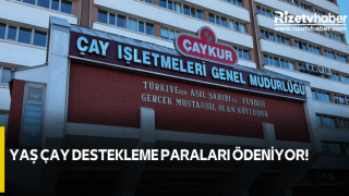 Yaş Çay Destekleme Paraları Ödeniyor!