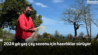 2024 yılı yaş çay sezonu için hazırlıklar sürüyor