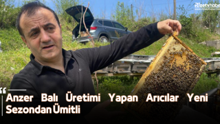 Anzer Balı Üretimi Yapan Arıcılar Yeni Sezondan Ümitli