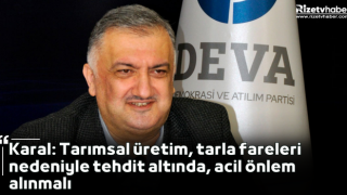 Karal: Tarımsal üretim, tarla fareleri nedeniyle tehdit altında, acil önlem alınmalı