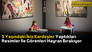 5 Yaşındaki İkiz Kardeşler Yaptıkları Resimler İle Görenleri Hayran Bırakıyor