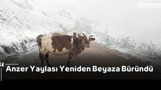 Anzer Yaylası Yeniden Beyaza Büründü