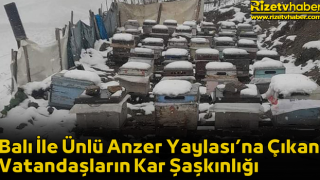 Balı İle Ünlü Anzer Yaylası’na Çıkan Vatandaşların Kar Şaşkınlığı