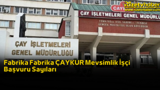 Fabrika Fabrika ÇAYKUR Mevsimlik İşçi Başvuru Sayıları