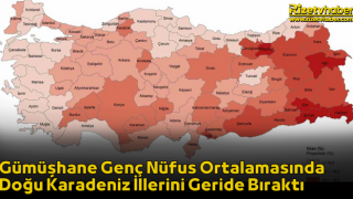 Gümüşhane Genç Nüfus Ortalamasında Doğu Karadeniz İllerini Geride Bıraktı