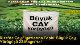 Rize'de Çay Fiyatlarına Tepki: Büyük Çay Yürüyüşü 23 Mayıs'ta!