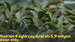 Rize'nin 4 aylık çay ihracatı 5,9 milyon dolar oldu