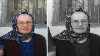 Yılanın Isırdığı Yaşlı Kadın Hayatını Kaybetti