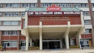 ÇAYKUR'un 1500 Mevsimlik İşçi Alımında İllere ve Fabrikalara Göre İşçi Dağılımı