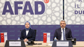 Rize'de Sahipsiz Hayvanlar İçin Doğal Yaşam Alanları Kuruluyor