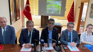 CHP'den Yaş Çay Fiyatı Çıkışı: "Taban Fiyat 32 TL, Destekleme 4 TL Olmalı!"