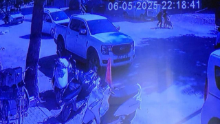 Evden Kaçan Köpek Sokakta Yürüyen Kızlara Saldırdı