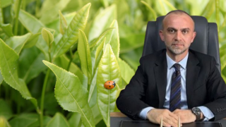 Korkmaz’dan Çay Fiyatına Tepki: “Çay Üreticisi Enflasyona Ezdirildi, Açıklanan Fiyatı Kabul Etmiyoruz”