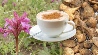 Rize’de Salep Yetiştiriciliği İçin İlk Adım Atıldı