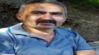 Üzerine ağaç devrilen kesim işçisi öldü
