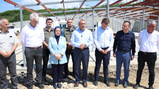 Rize Valisi Baydaş: Fındıklı'daki Sahipsiz Sokak Hayvanları Doğal Yaşam Alanı Ağustos’ta Açılıyor