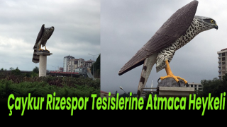 Çaykur Rizespor Tesislerine Atmaca Heykeli