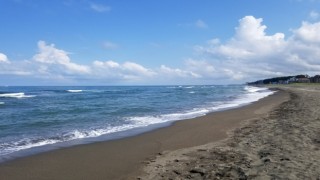 Rize'nin Fındıklı ilçesinde deniz kenarında erkek cesedi bulundu.