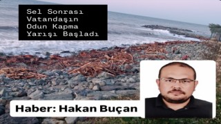 Fırtınanın etkisiyle Karadeniz’in sahile getirdiği dev ağaçlar